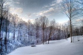 Winterurlaub in St. Englmar
